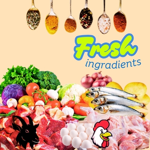 Home website 500 x 500pxl fresh ingredients